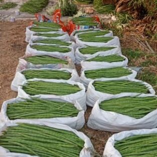 WhatsApp Image 2026-02-02 at 5.32.54 PM (1)