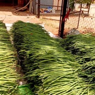 WhatsApp Image 2026-02-02 at 5.32.54 PM (3)