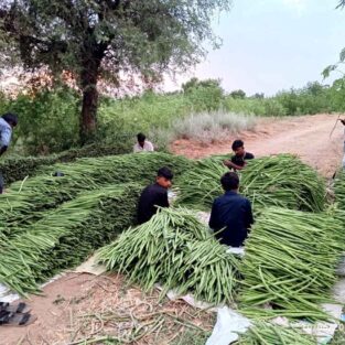 WhatsAppImage2026-02-02at5.32.49PM