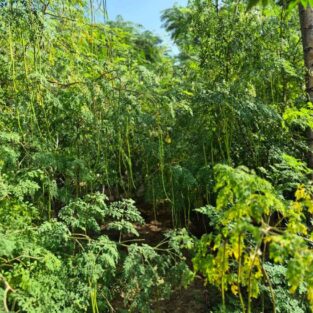 WhatsAppImage2026-02-02at5.32.52PM2